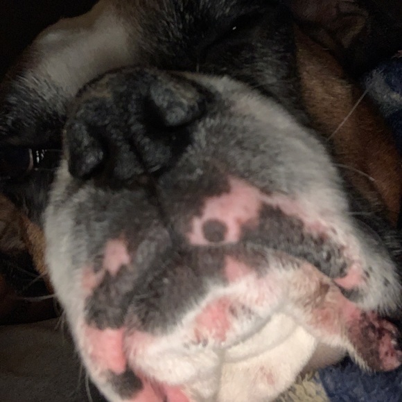 Meet your Posher, Jason - Picture 1 of 1